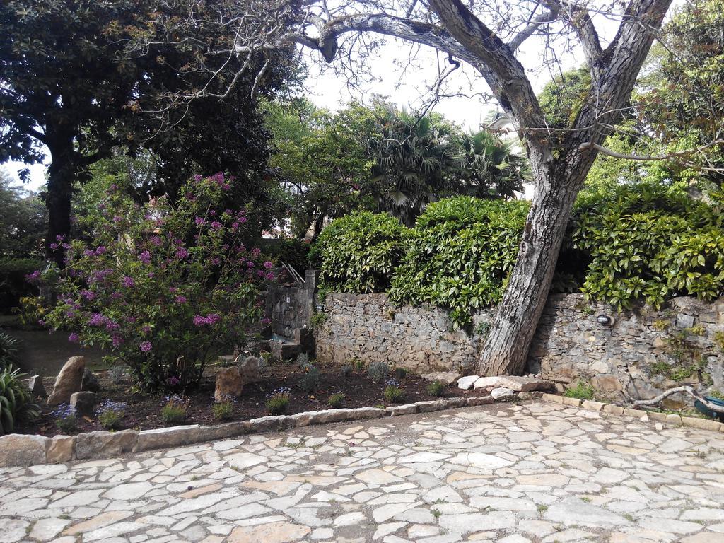 Guest House Villa Dos Poetas Sintra Exterior photo The garden of the villa