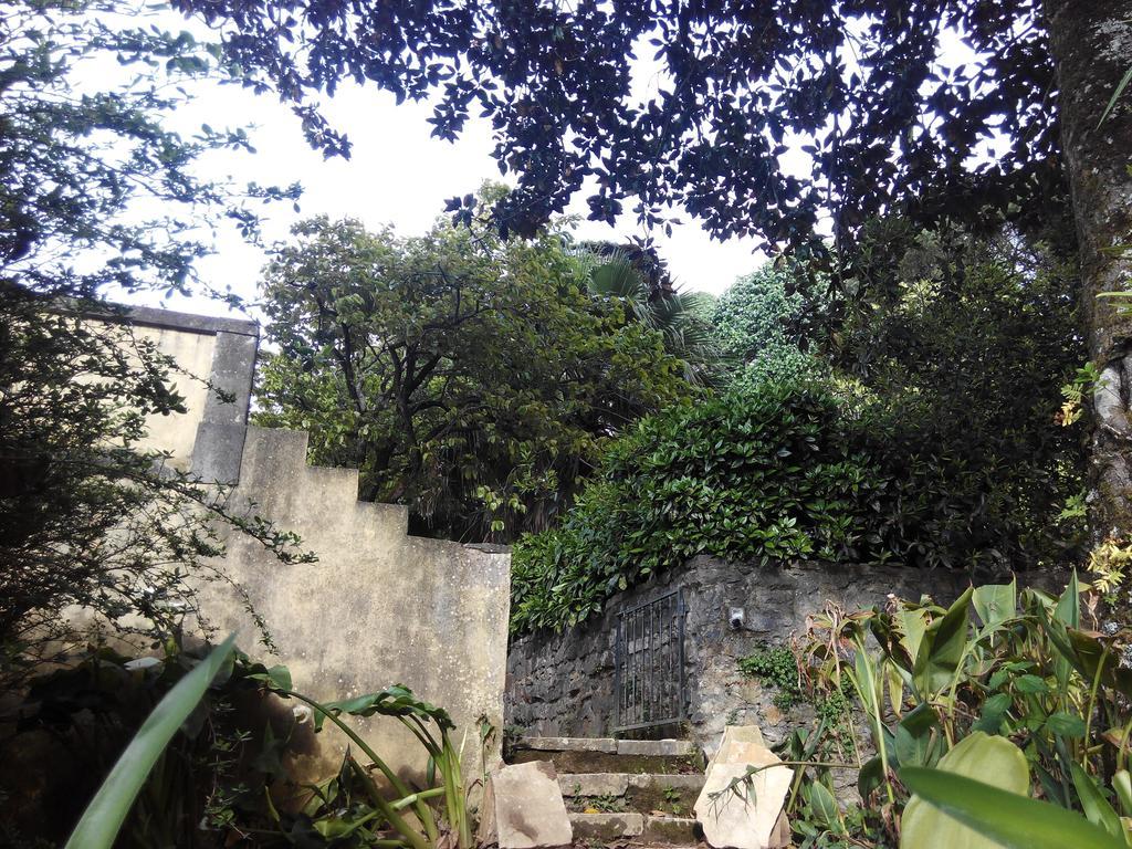 Guest House Villa Dos Poetas Sintra Exterior photo The entrance to the cave